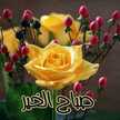 nahida da7son chahin 