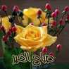 nahida da7son chahin 