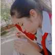 Như Lọ Nghẹ