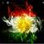 Mobin Kurd