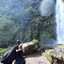 Annisa Nurul Fitria
