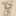 顏語純 顏語純