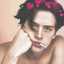 Ash. fit u.u