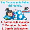 Carolina Chan
