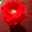 Lubna