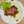 Cooking with ARInda