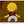 Pasquale_12 Pasquale_12