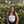 Brianna Alonzo