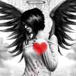 Wed Alhasy