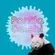 Panda Celshi 