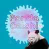 Panda Celshi 
