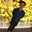 Kawinphat Narasitthiroj
