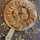 wiams_kitchen wiams_kitchen
