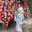 Rachel Phoenix Suen