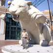 Jaime Jose Castillo Quintero