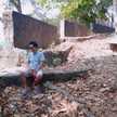 Jeffry