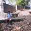 Jeffry