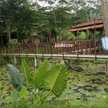 yosephin andina