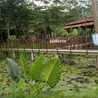 yosephin andina