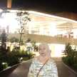 Fenny Windy