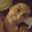 Elodia Archon