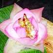 saradha ramesh