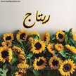 أم ريتاج 
