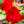 ichan