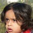 Rohit AN