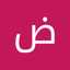 ضیا گرگیج