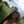 Nadhina_Rvrl