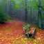 Yohanes Hindrawan