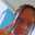 Kim Savage