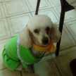 Haydee Chiabrando