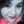 Eryka Gisela Montenegro Eryka Gisela Montenegro