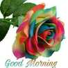 Umme Hiba