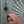 rima dwi. rima dwi.