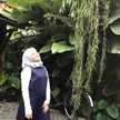 Renny Aulia