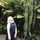 Renny Aulia Renny Aulia