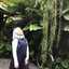 Renny Aulia