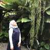 Renny Aulia