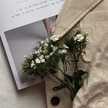 ummu_ali
