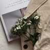 ummu_ali