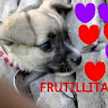 frutillita szablewski olivera