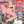 Dima 