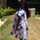 Susan mwaniki