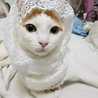 Putri Al Gaffar