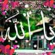Aseel Ali