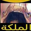 شيرين مرتضى 👸