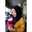 Alyta Wibowo